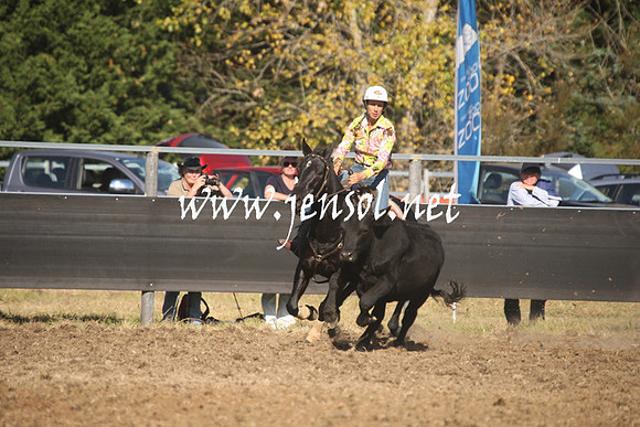 MossValeCampdraft2013_1066