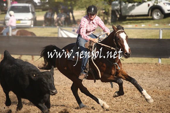 MossValeCampdraft2013_1037