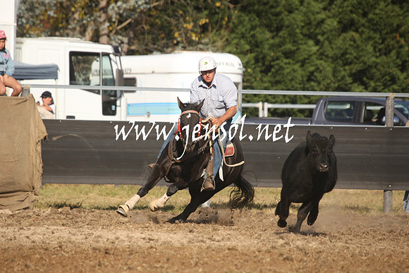 MossValeCampdraft2013_1128