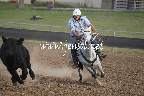 MossValeCampdraft2013_1174