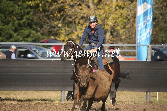 MossValeCampdraft2013_1043