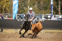 MossValeCampdraft2013_0958