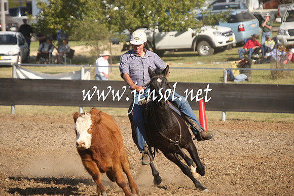 MossValeCampdraft2013_1098
