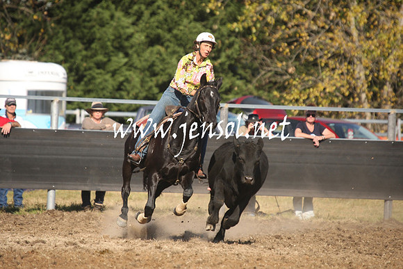 MossValeCampdraft2013_1069