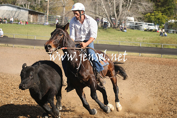 MossValeCampdraft2013_1013