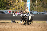 MossValeCampdraft2013_0988
