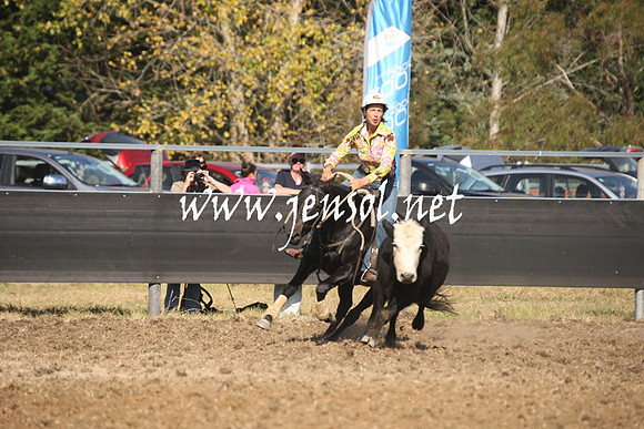 MossValeCampdraft2013_0988