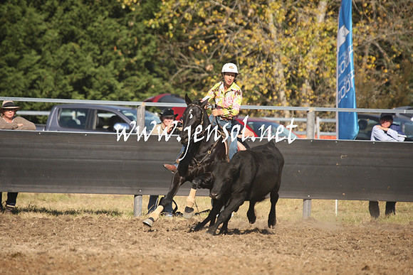MossValeCampdraft2013_1065
