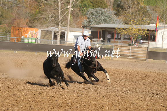 MossValeCampdraft2013_1137