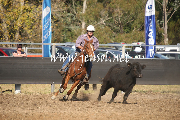 MossValeCampdraft2013_1020