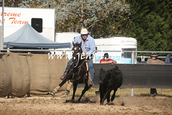 MossValeCampdraft2013_1078