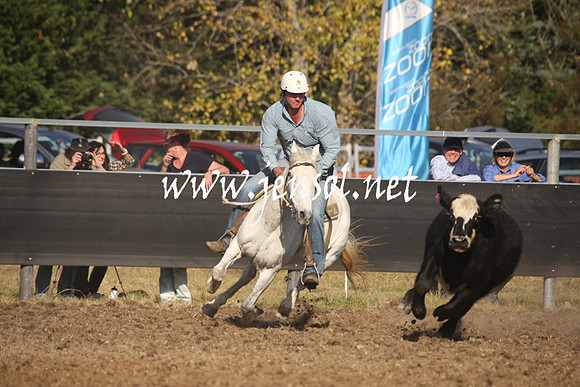 MossValeCampdraft2013_1114