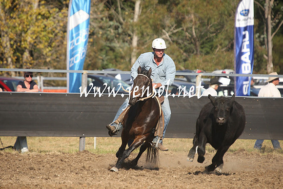 MossValeCampdraft2013_1051