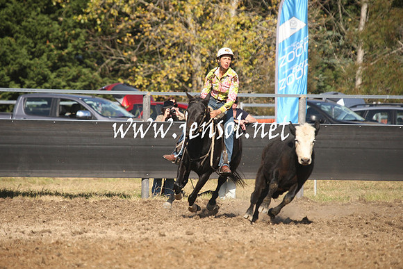 MossValeCampdraft2013_0987
