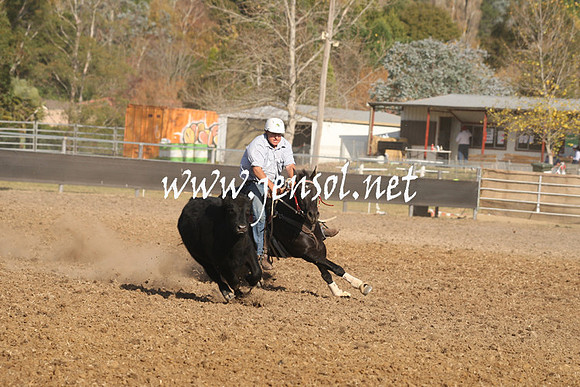 MossValeCampdraft2013_1135