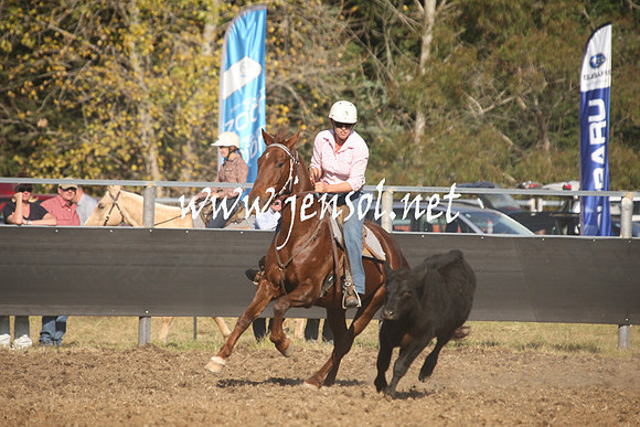 MossValeCampdraft2013_1108