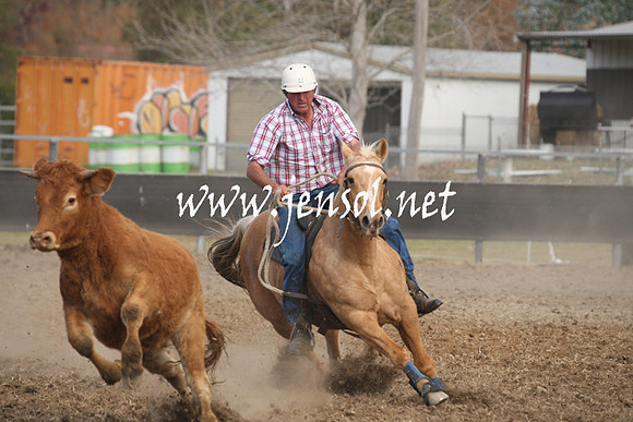 MossValeCampdraft2013_1190