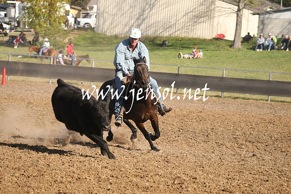 MossValeCampdraft2013_1058