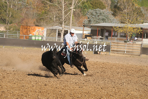 MossValeCampdraft2013_1136