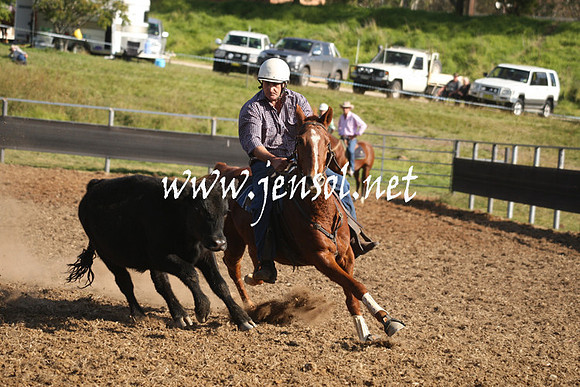 MossValeCampdraft2013_1026