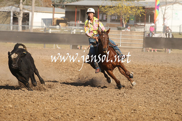 MossValeCampdraft2013_1106