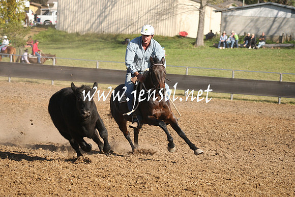 MossValeCampdraft2013_1060