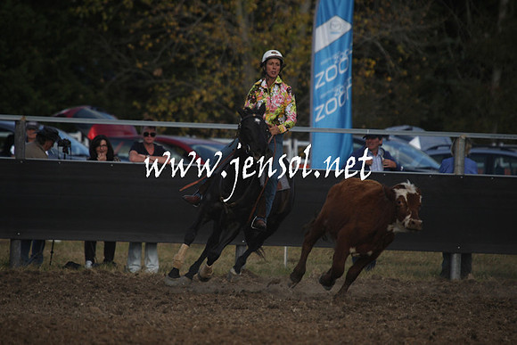 MossValeCampdraft2013_1149