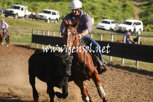 MossValeCampdraft2013_1029