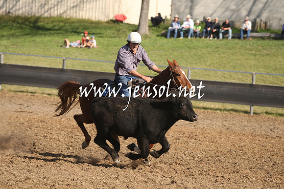 MossValeCampdraft2013_1024