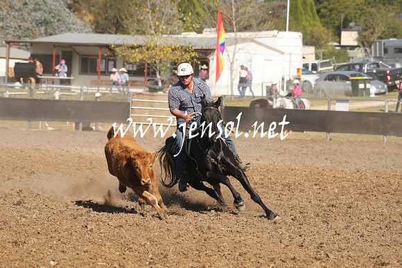 MossValeCampdraft2013_0963
