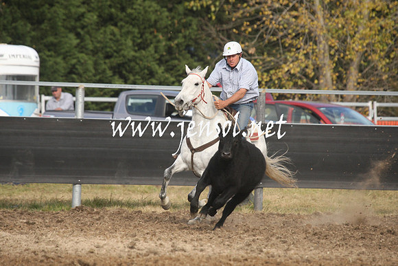 MossValeCampdraft2013_1193
