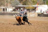 MossValeCampdraft2013_0964