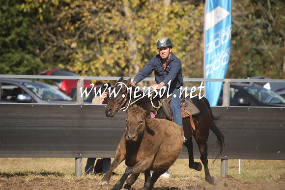 MossValeCampdraft2013_1042
