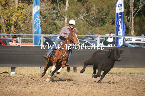 MossValeCampdraft2013_1021