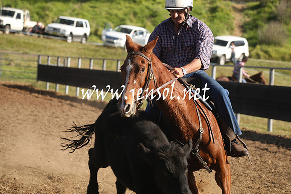 MossValeCampdraft2013_1032