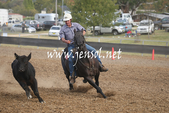 MossValeCampdraft2013_1186