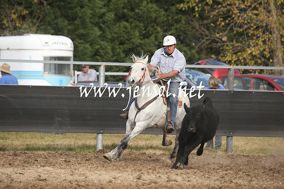 MossValeCampdraft2013_1195