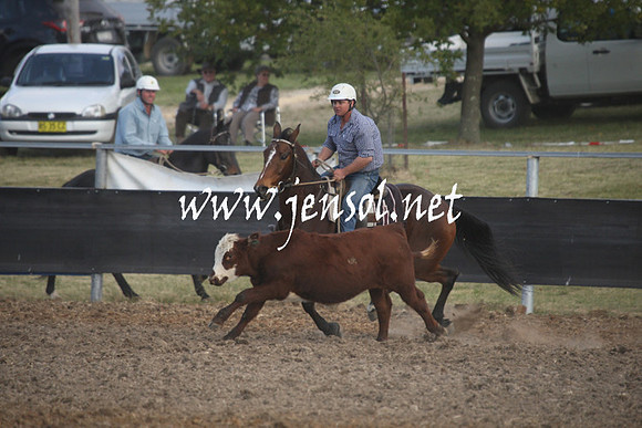 MossValeCampdraft2013_1167