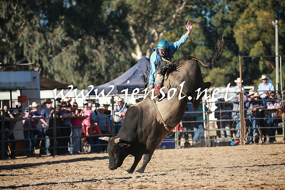 TumutRodeo2016Two_4181
