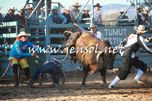 TumutRodeo2016Two_4146