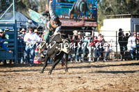TumutRodeo2016Two_3969
