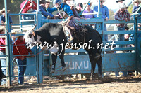 TumutRodeo2016Two_3982