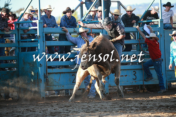 TumutRodeo2016Two_4203