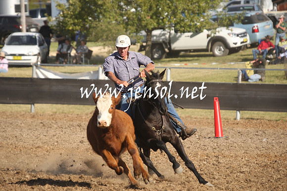 MossValeCampdraft2013_1096