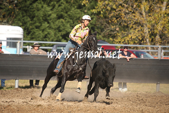 MossValeCampdraft2013_1071