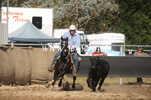 MossValeCampdraft2013_1079