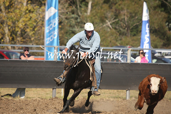 MossValeCampdraft2013_0978