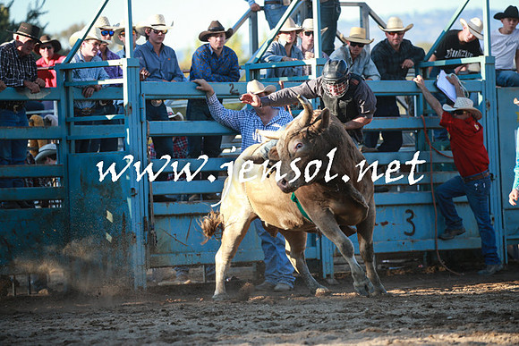 TumutRodeo2016Two_4206