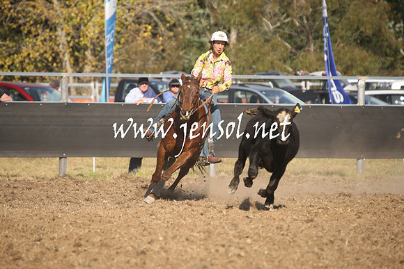 MossValeCampdraft2013_1100