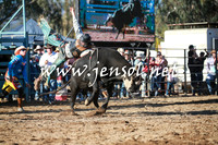 TumutRodeo2016Two_3964